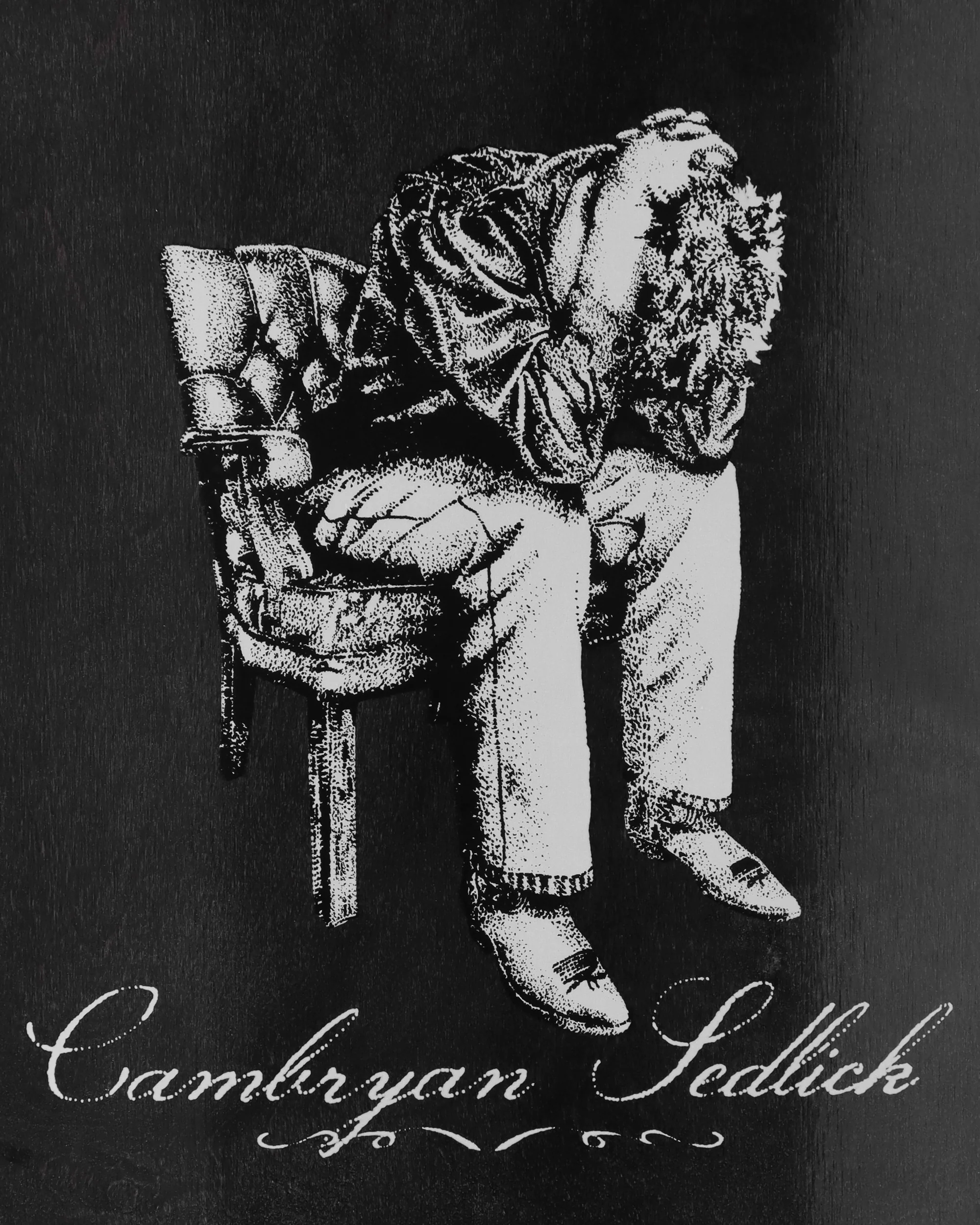 Cambryan Sedlick Pro Deck Special Shape 8 Black - Image 4