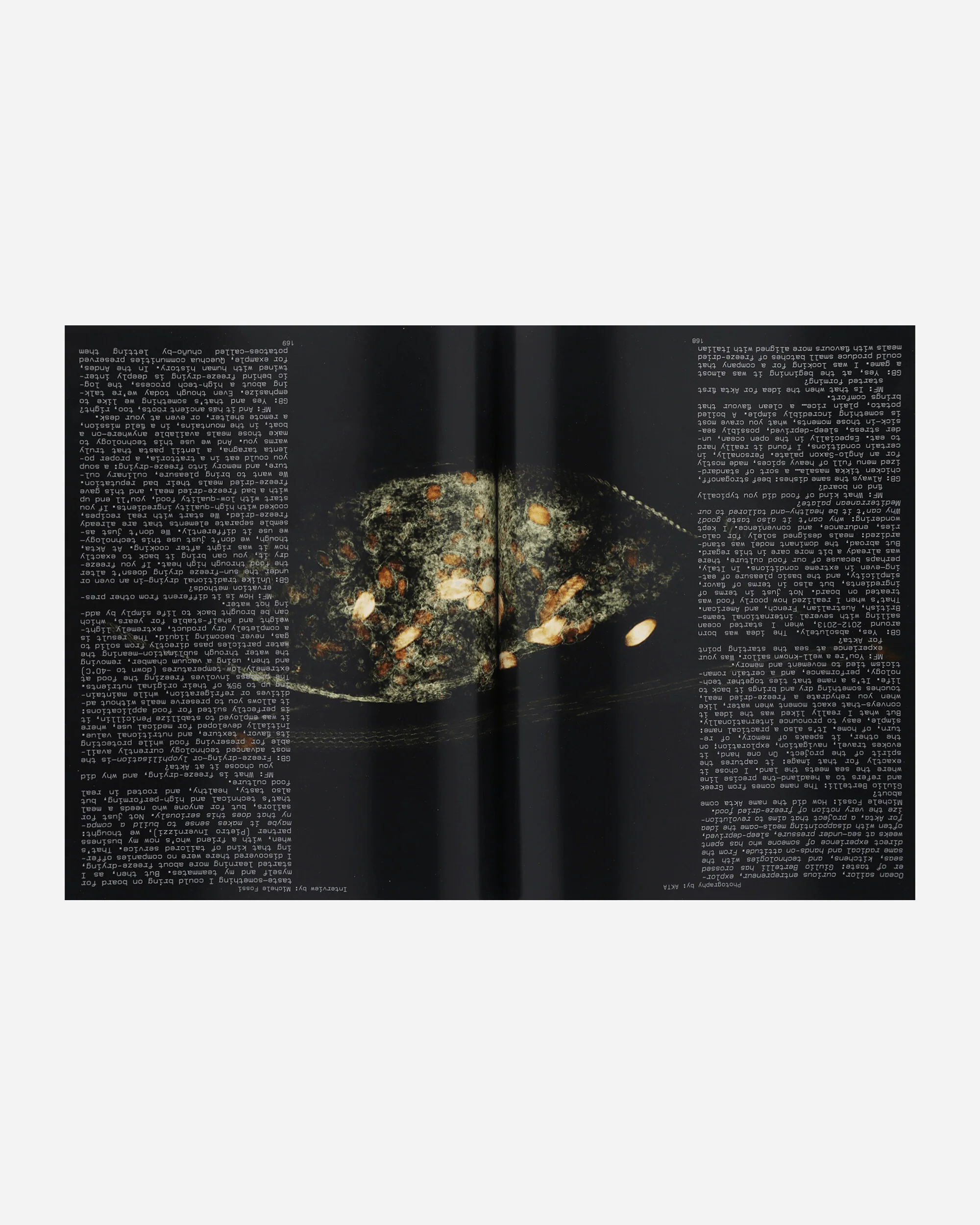 Issue 4 Homerun Cover - Image 2