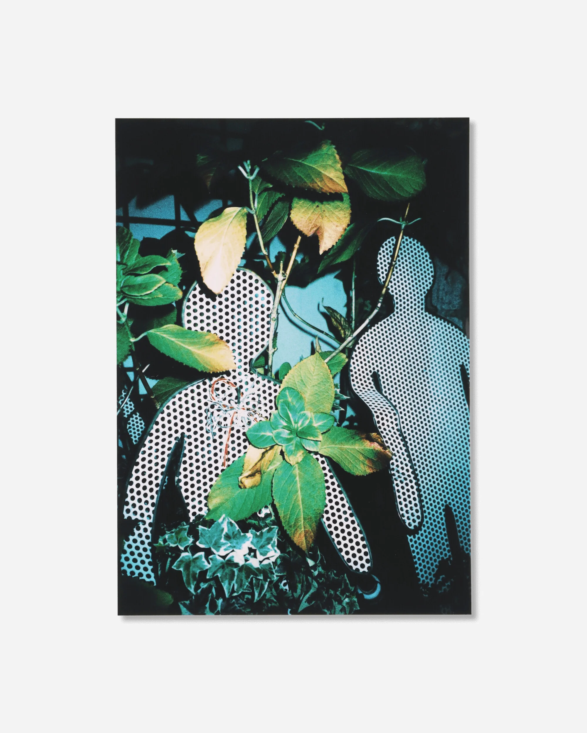 Misha Hollenbach Book / A - Image 5