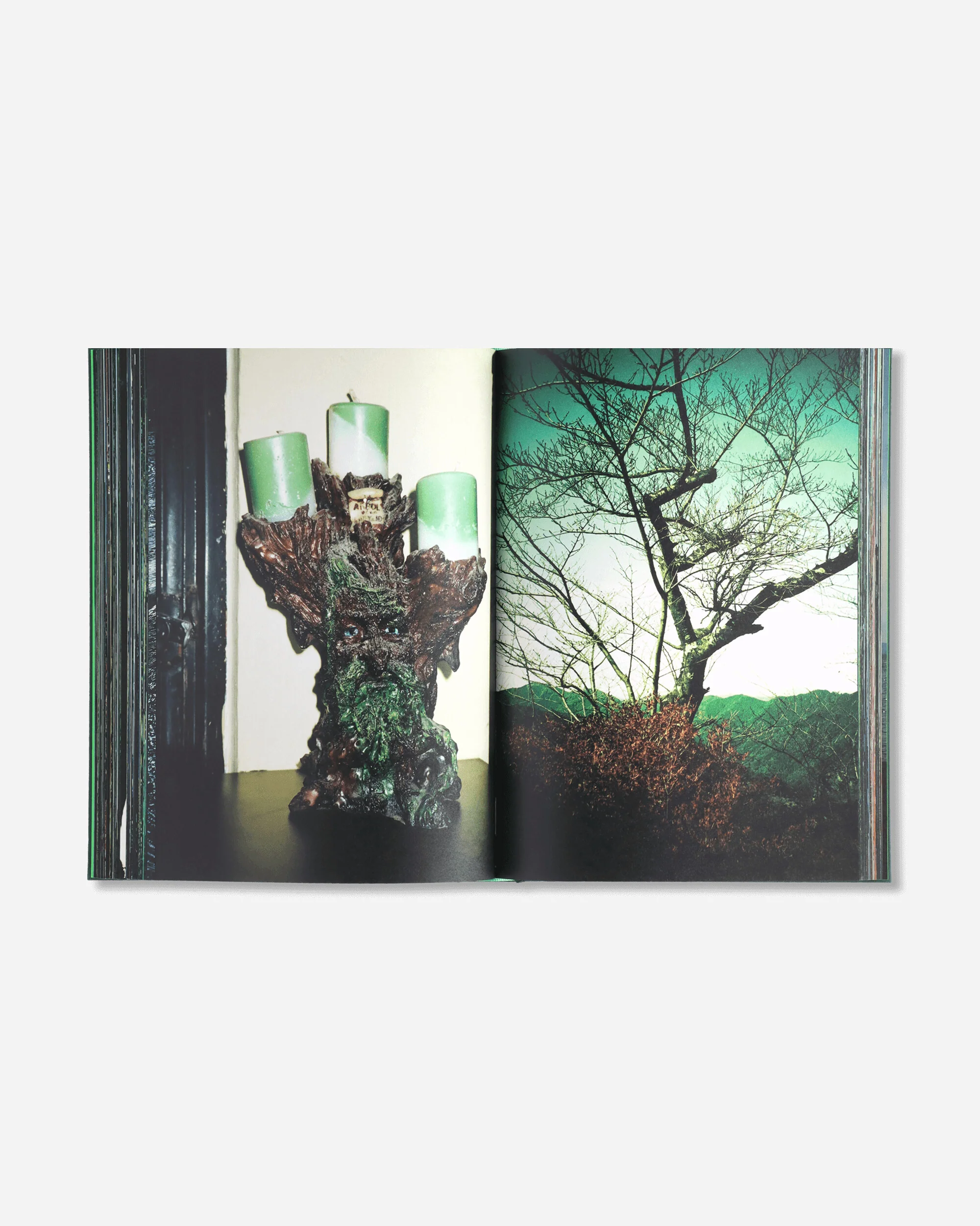 Misha Hollenbach Book / C - Image 3