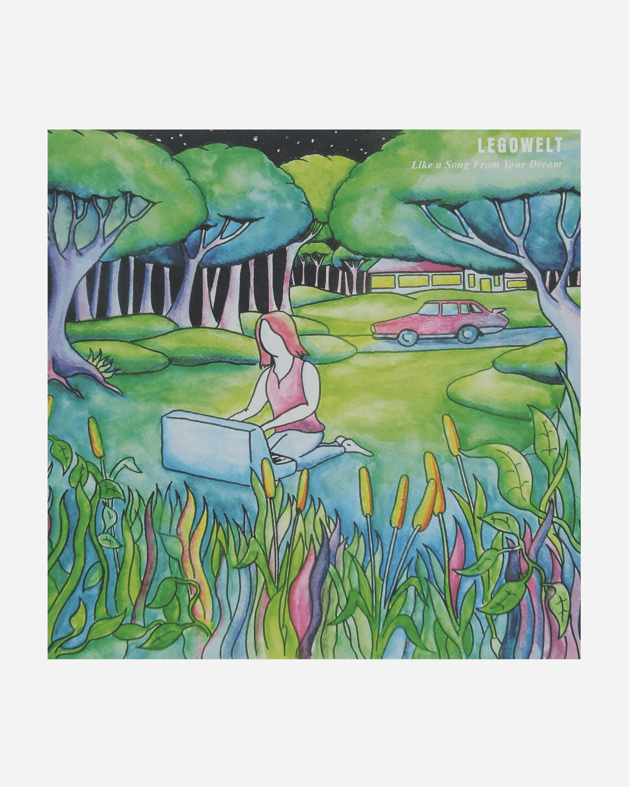 Like A Song From Your Dream Vinyl